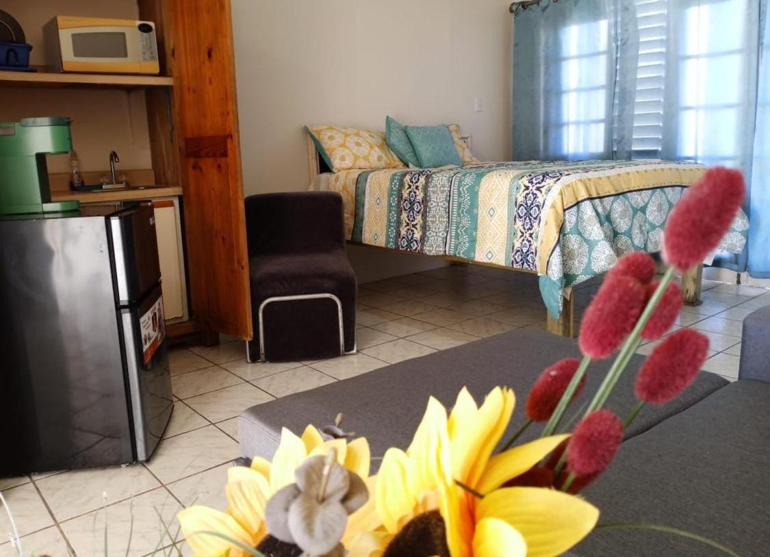 Ridgeway Guest House Montego Bay Exterior foto