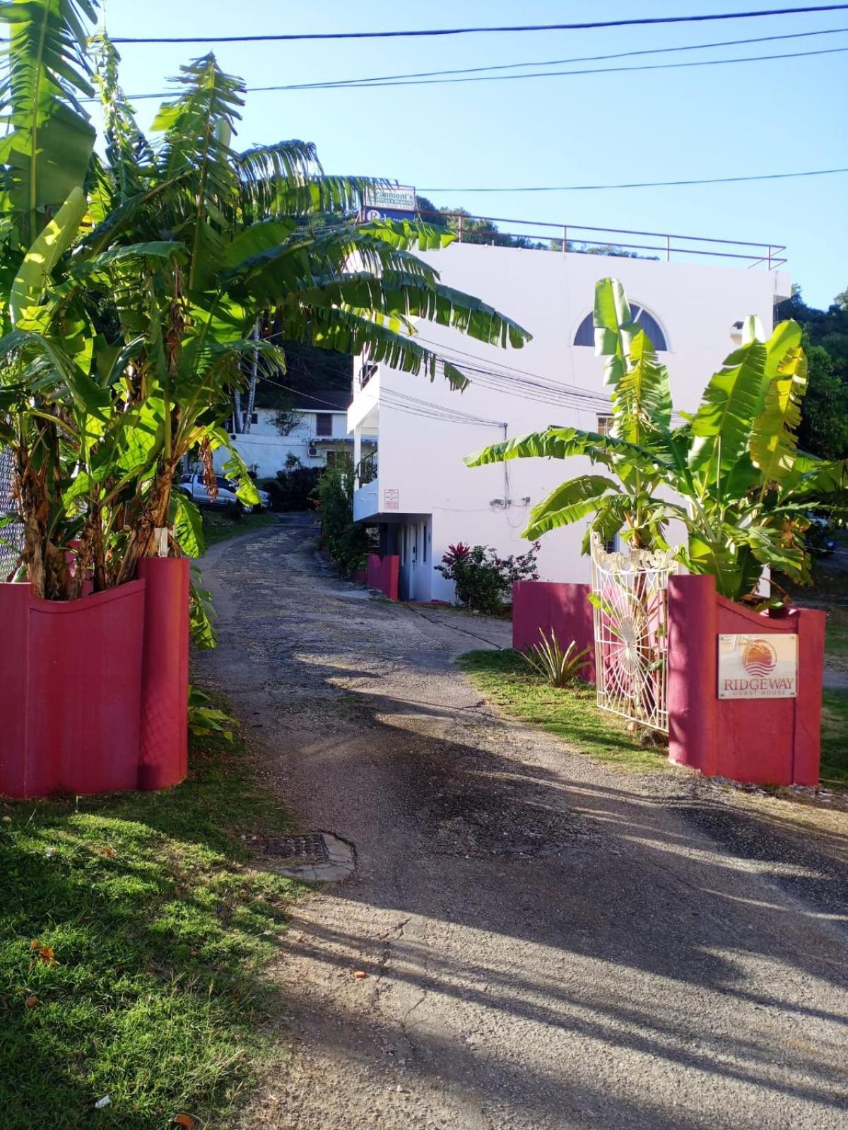 Ridgeway Guest House Montego Bay Exterior foto